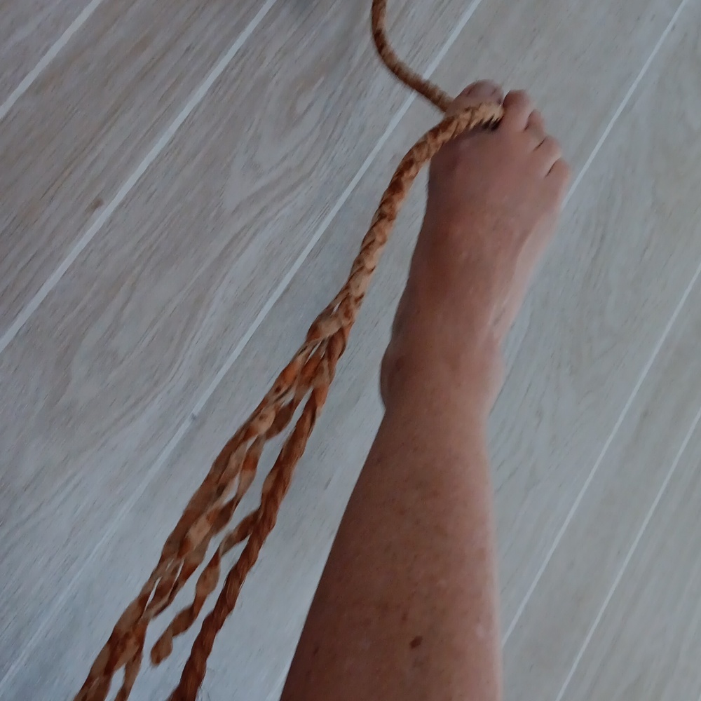 Lariat - Picture 2 of 3